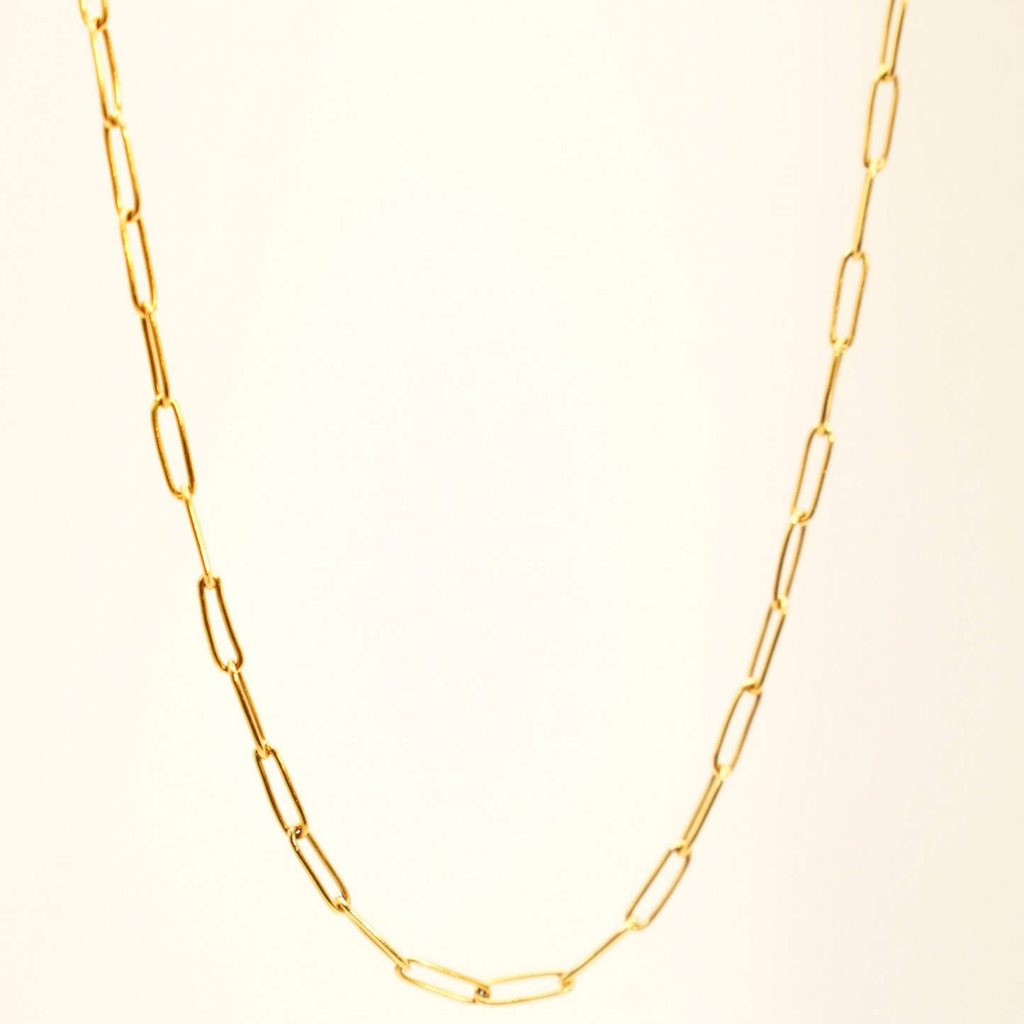 Paperclip Necklace