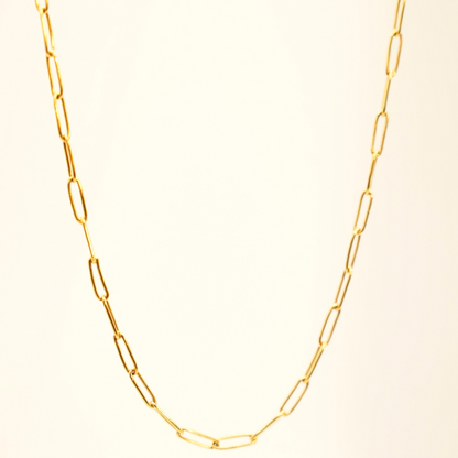 Paperclip Necklace