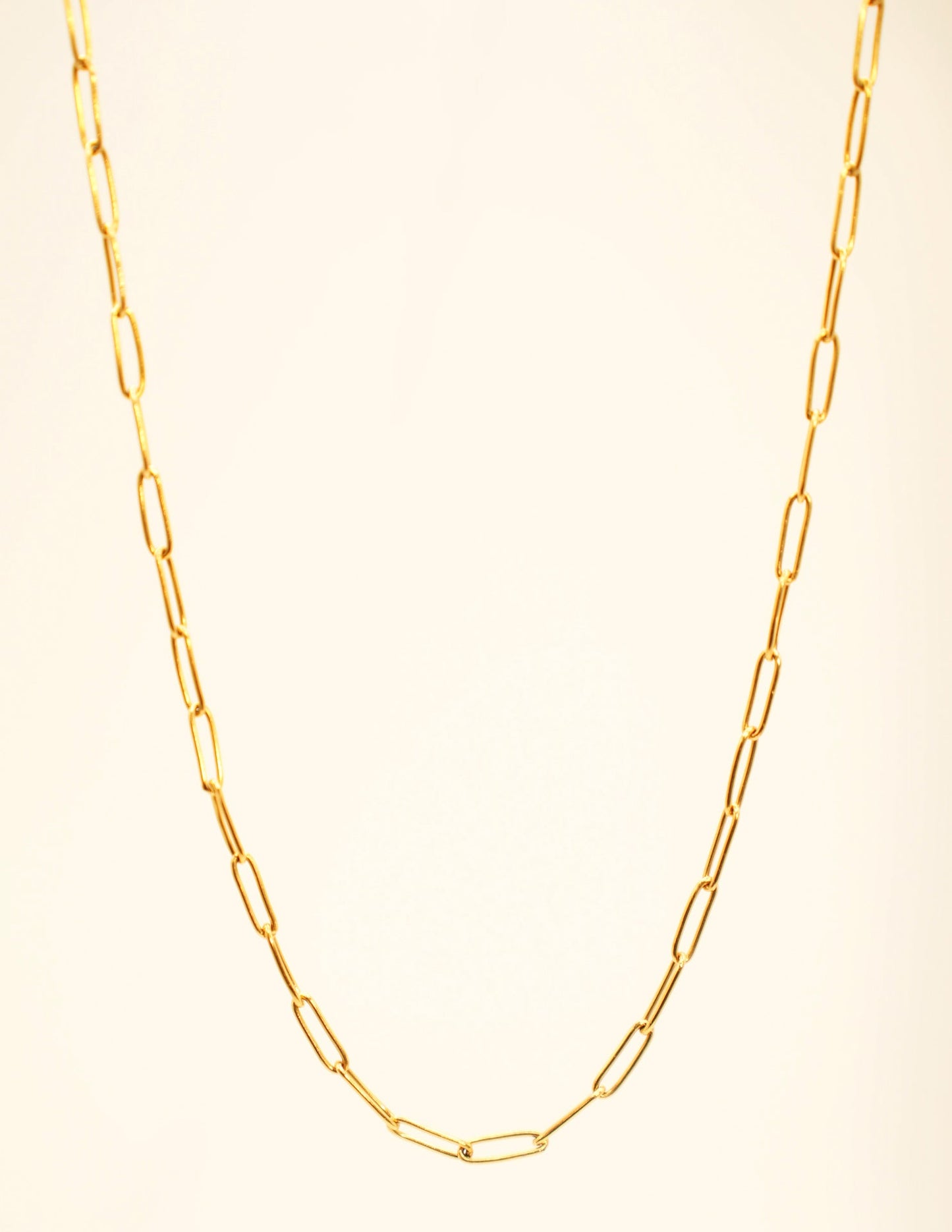 Paperclip Necklace